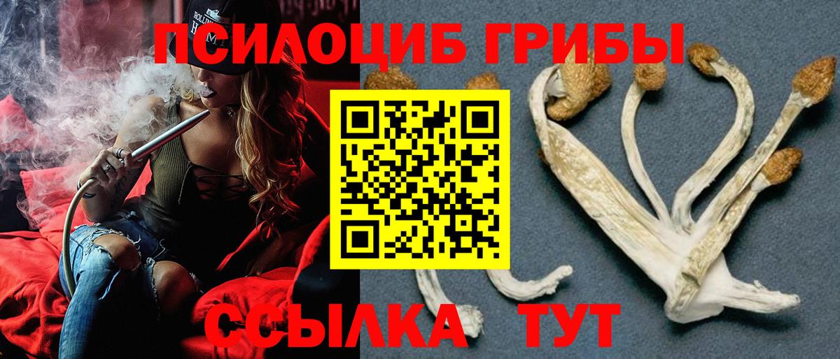 Псилоцибиновые грибы Cubensis  Вход с VPN  Сатка 