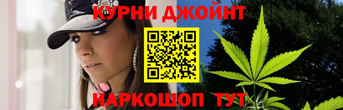 Бошки Шишки план Сатка